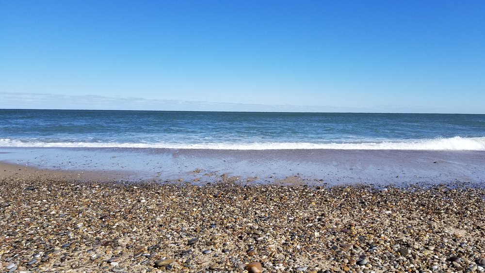 20180319_150035.jpg