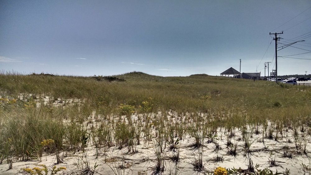 IMG_20150928_122912007_HDR.jpg