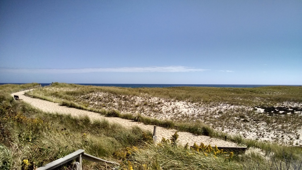 IMG_20150928_123250363_HDR.jpg