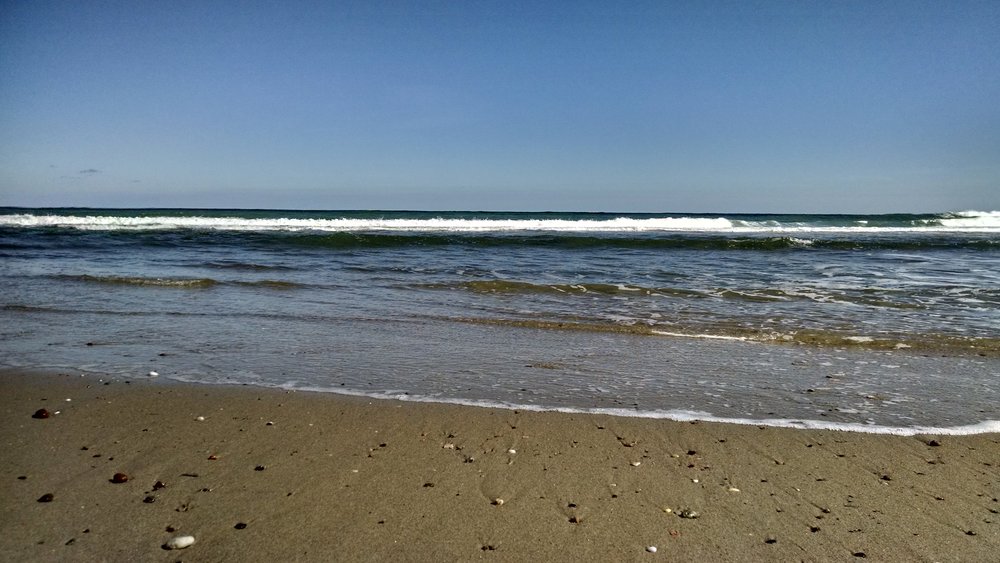 IMG_20151008_134532270_HDR.jpg